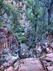 photo thumbnail #6