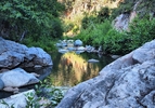 photo thumbnail #11