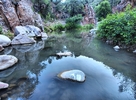 photo thumbnail #12