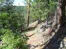 photo thumbnail #2