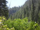 photo thumbnail #8