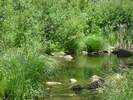photo thumbnail #11