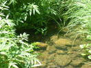 photo thumbnail #12