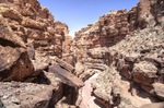 photo thumbnail #4