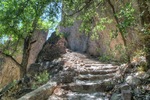 photo thumbnail #2
