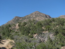 photo thumbnail #1