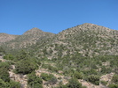 photo thumbnail #3