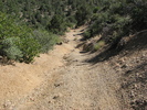 photo thumbnail #5