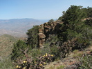 photo thumbnail #11