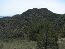 photo thumbnail #14