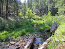 photo thumbnail #2
