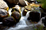 photo thumbnail #10