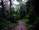 photo thumbnail #3