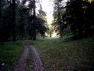 photo thumbnail #10