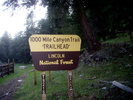 photo thumbnail #11
