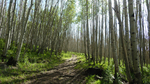 photo thumbnail #6