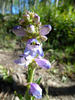 photo thumbnail #8