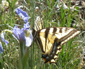 photo thumbnail #11