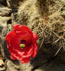 photo thumbnail #1