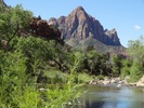 photo thumbnail #14