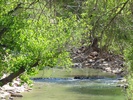 photo thumbnail #15