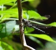 photo thumbnail #3
