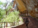 photo thumbnail #4
