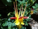 photo thumbnail #7