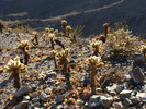photo thumbnail #6