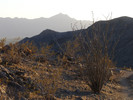 photo thumbnail #11