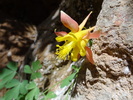 photo thumbnail #1