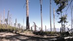 photo thumbnail #10