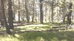 photo thumbnail #11