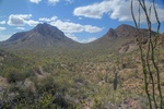 photo thumbnail #4