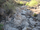 photo thumbnail #10