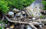 photo thumbnail #4