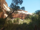 photo thumbnail #12