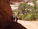 photo thumbnail #15