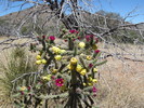 photo thumbnail #5