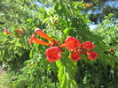 photo thumbnail #13