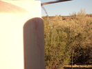 Featured Detail Photo