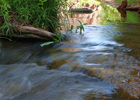 photo thumbnail #9
