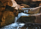 photo thumbnail #11