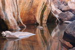 photo thumbnail #14