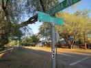 photo thumbnail #2