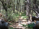 photo thumbnail #4