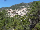 recent photo