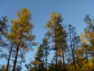 photo thumbnail #8