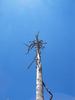 photo thumbnail #5
