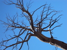 photo thumbnail #14